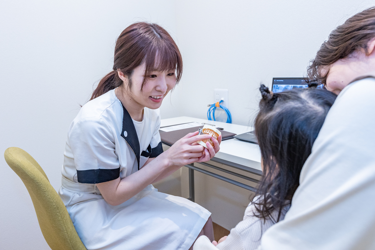 あゆみ歯科クリニックの歯科衛生士が幼児とその母親に歯の模型を用いて説明をしているところ